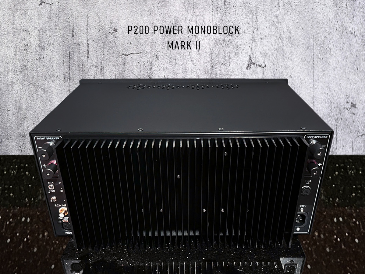 Mavis _ P200 Power Monoblock MKII (2)