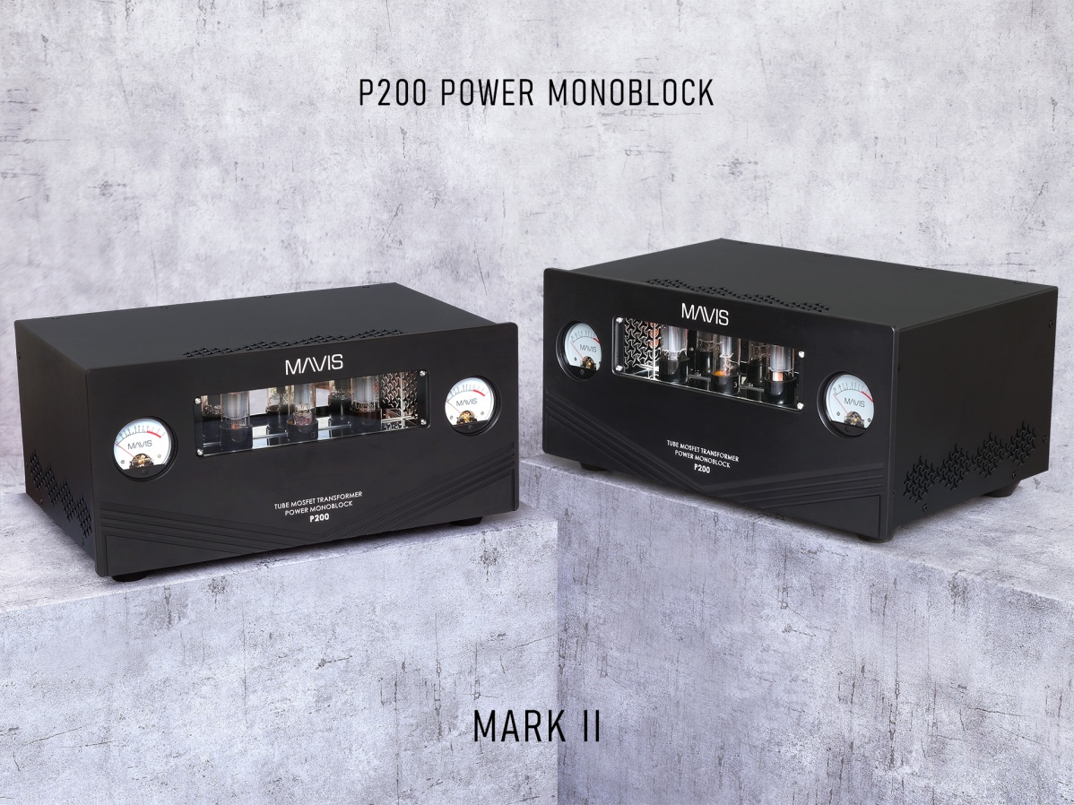 Mavis _ P200 Power Monoblock MKII (3)