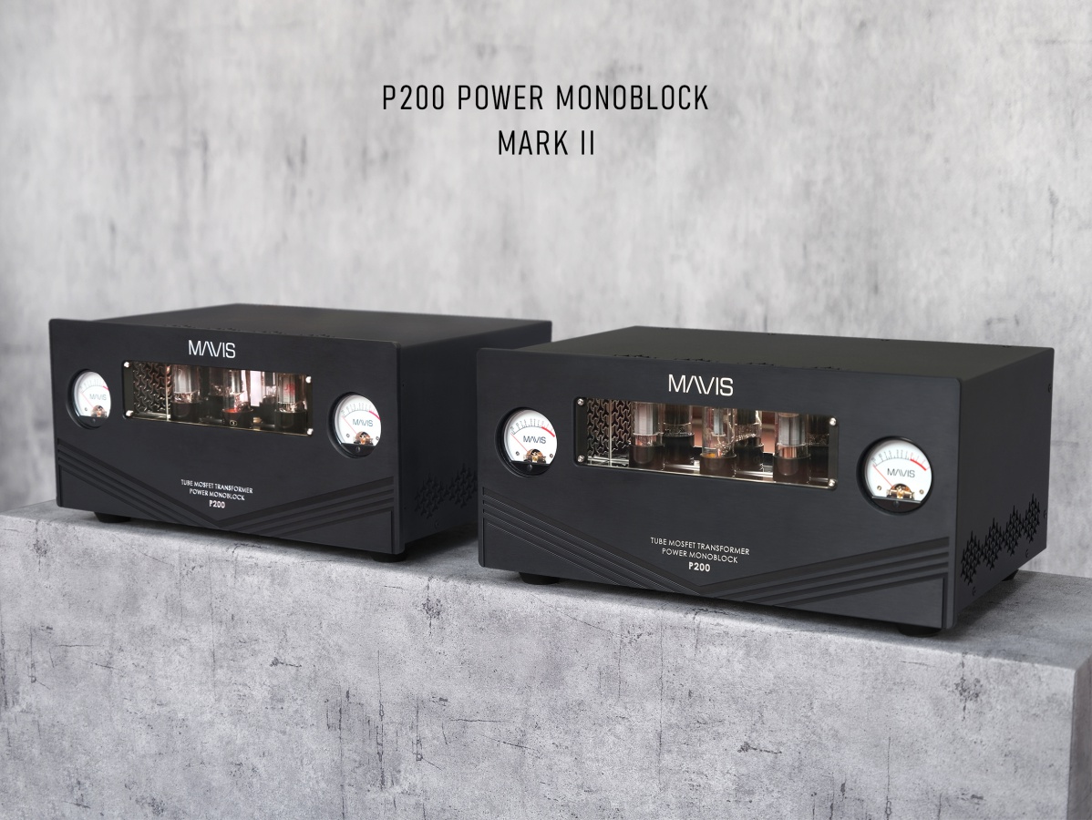 Mavis _ P200 Power Monoblock MKII (4)